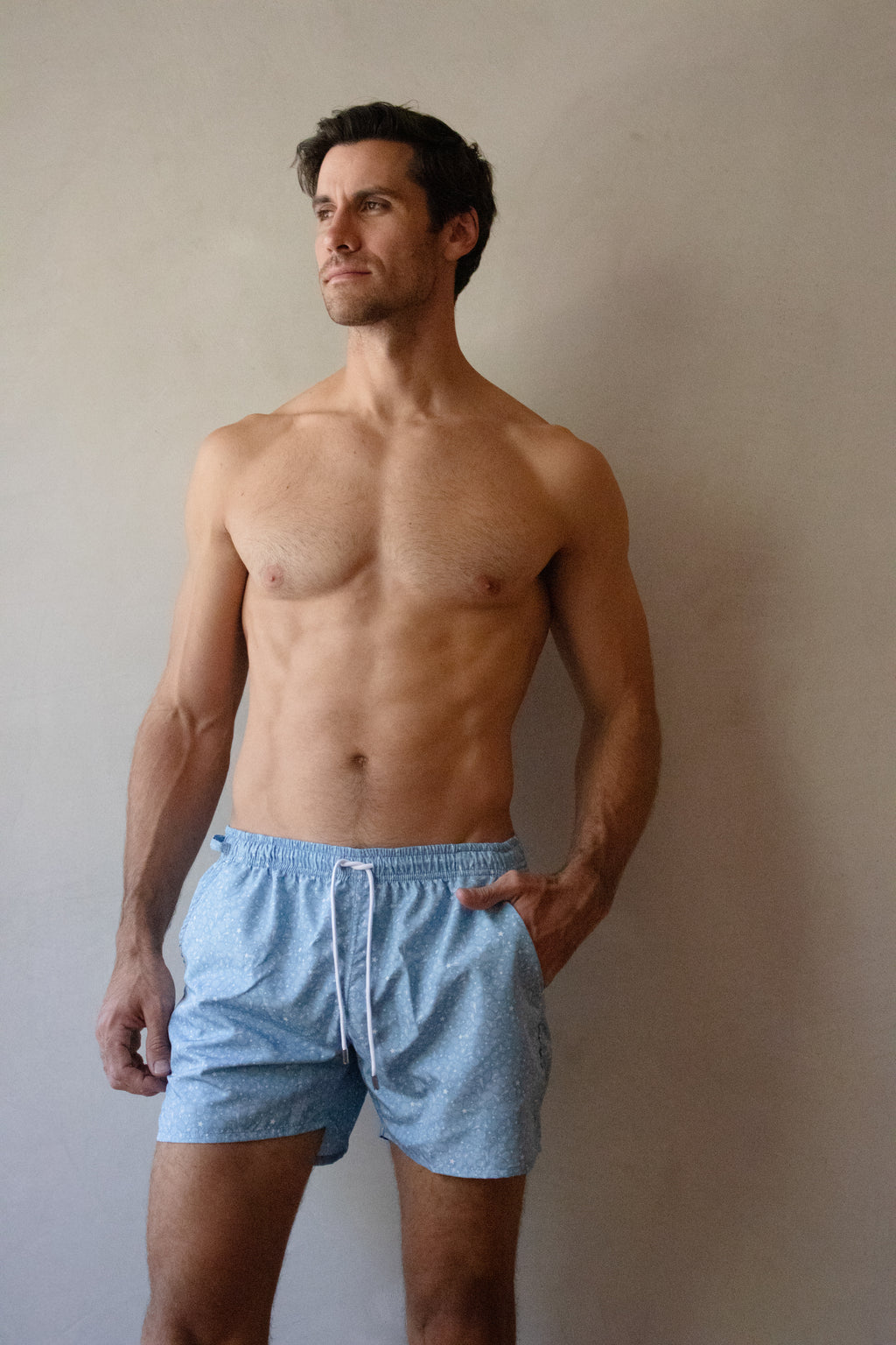 Shell Blue